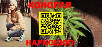 ешки Славгород