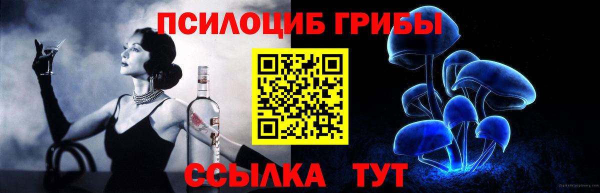 Можайск  Галлюциногенные грибы мицелий  Вход с VPN 